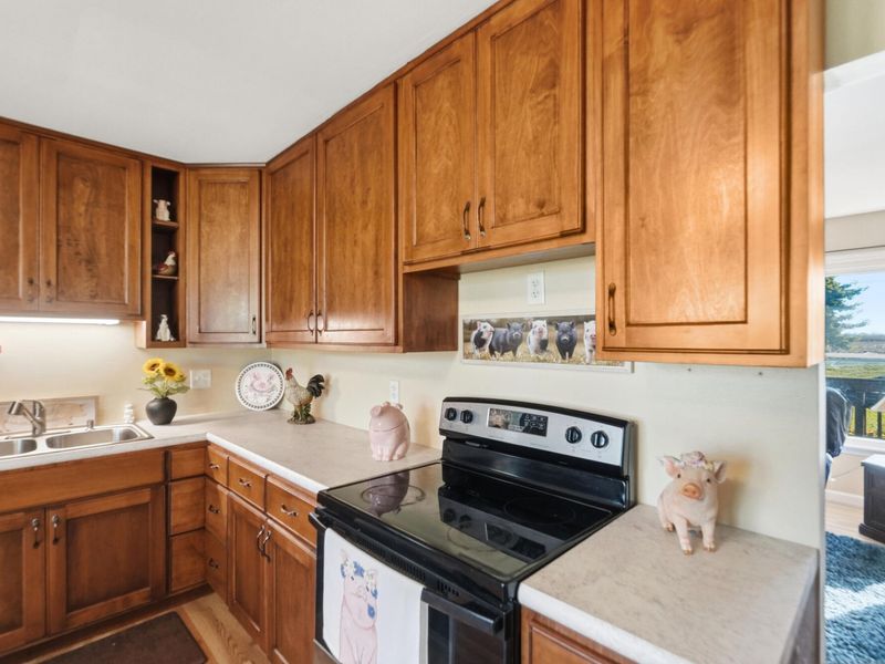 6206 Cemetery Road, De Graff, OH 43318 Photo 9