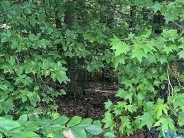 Lot 2 Summer Meadow Road , Beaverdam, VA 23015