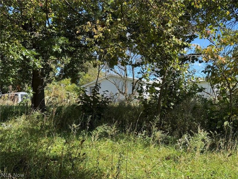 5977 Dalton Fox Lake Road, North Lawrence, OH 44666 Photo 7