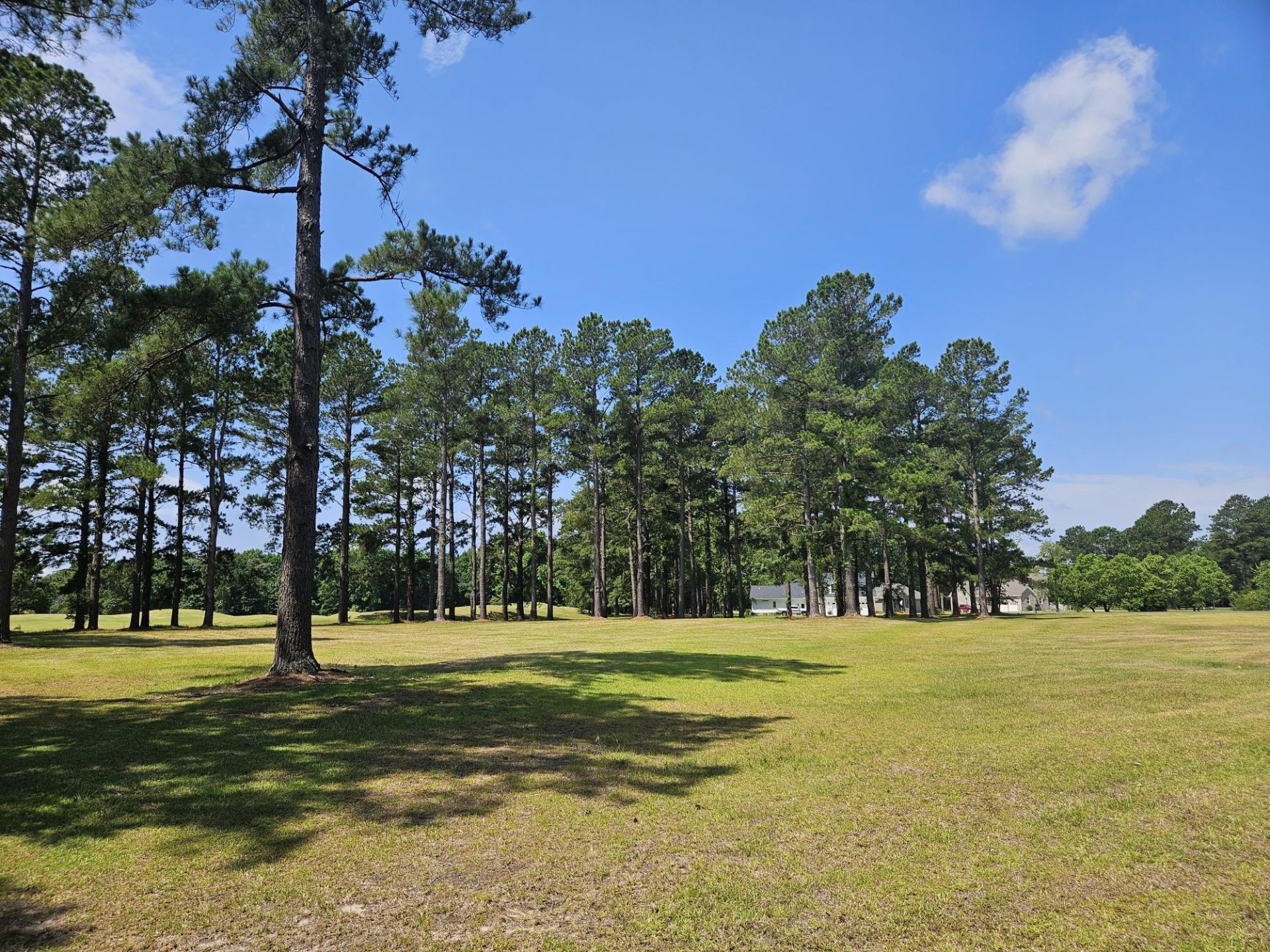 423 Pinelake Court Photo 4