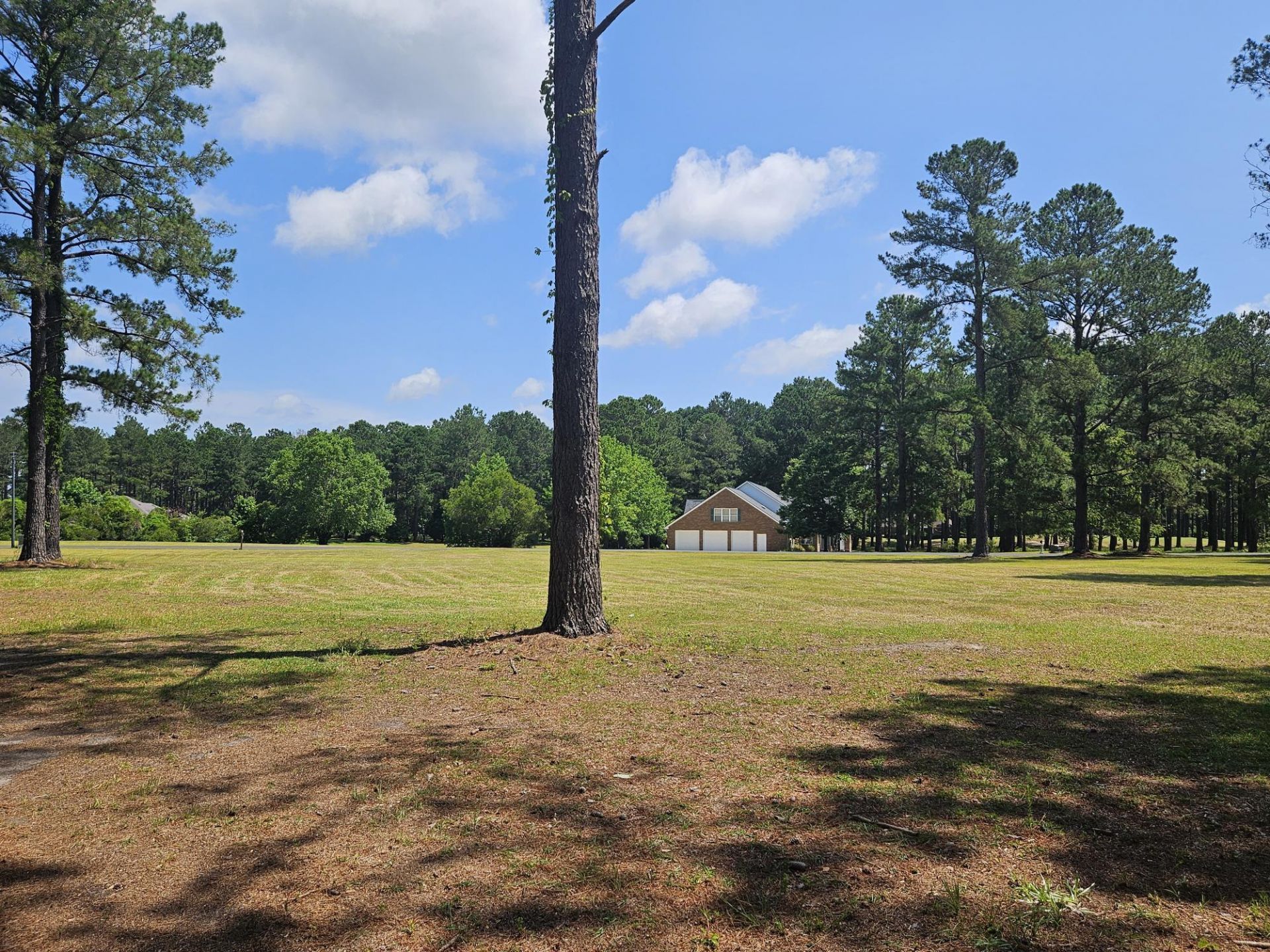 423 Pinelake Court Photo 5
