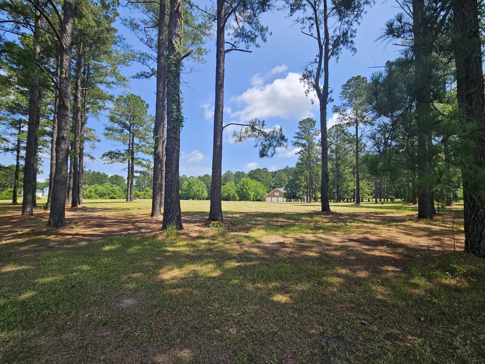 423 Pinelake Court Photo 6