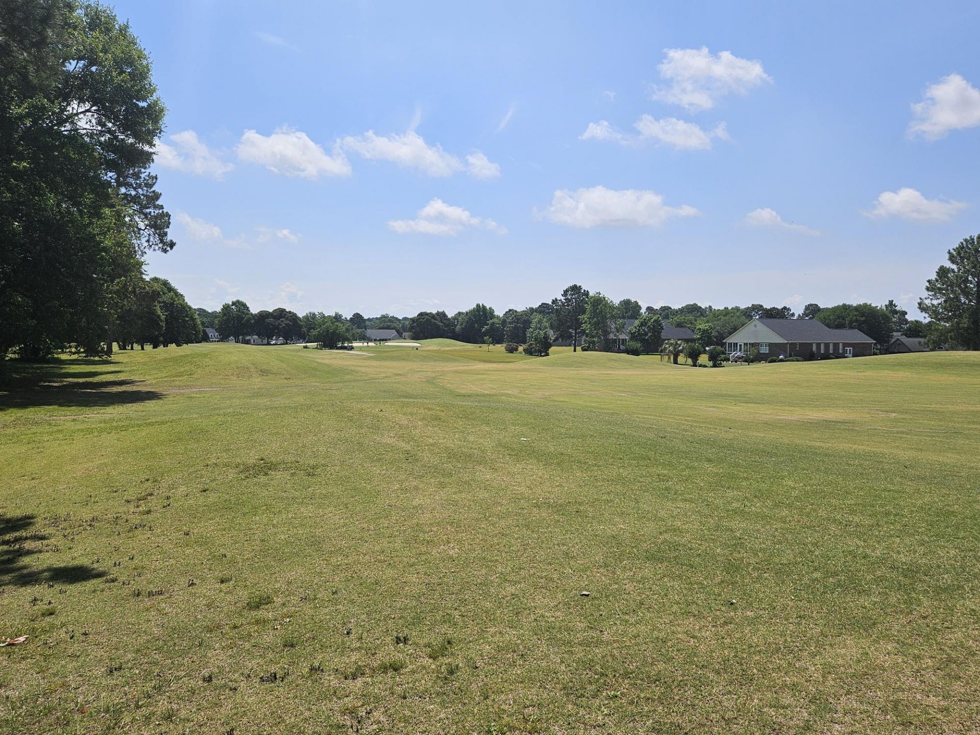 423 Pinelake Court Photo 9