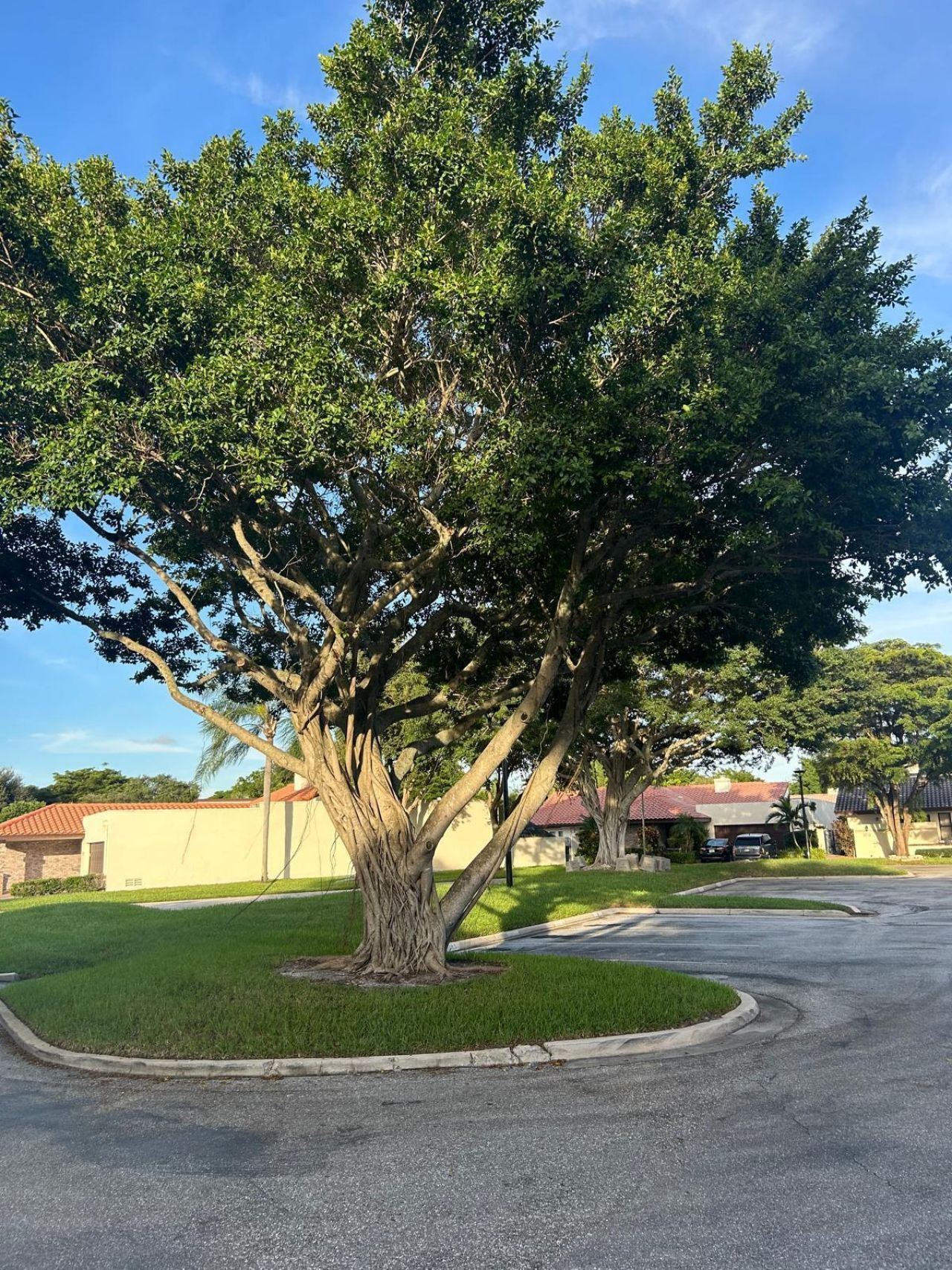 6945 Palmar Court, Boca Raton, FL 33433 Photo