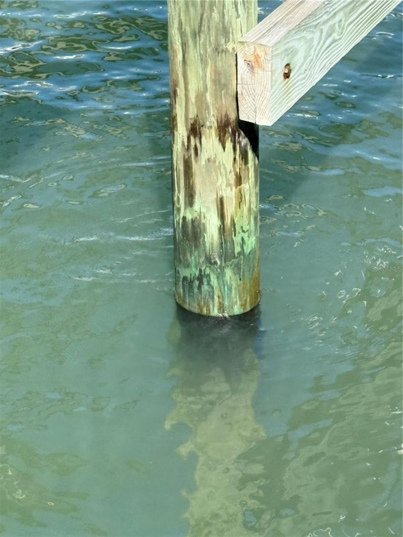 2700 N Peninsula Avenue , Unit Slip #64, New Smyrna Beach, FL 32169 Photo