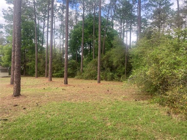 SE 19TH PL, SILVER SPRINGS, FL 34488