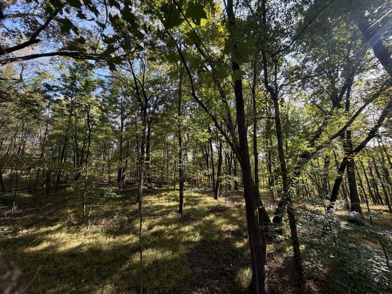 4056 Dragoo Road , Nashport, OH 43830 Photo 9