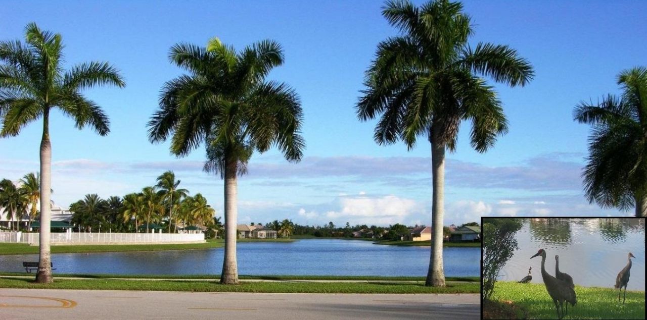 9542 Lantern Bay Circle, West Palm Beach, FL 33411 Photo