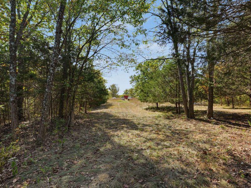 3436 Alexander Road, Demossville, KY 41033 Photo 29
