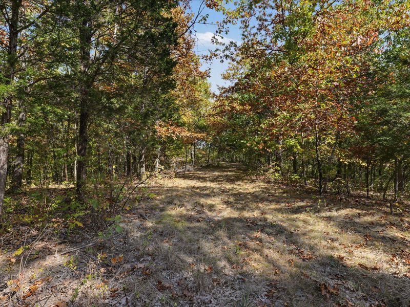 3436 Alexander Road, Demossville, KY 41033 Photo 30