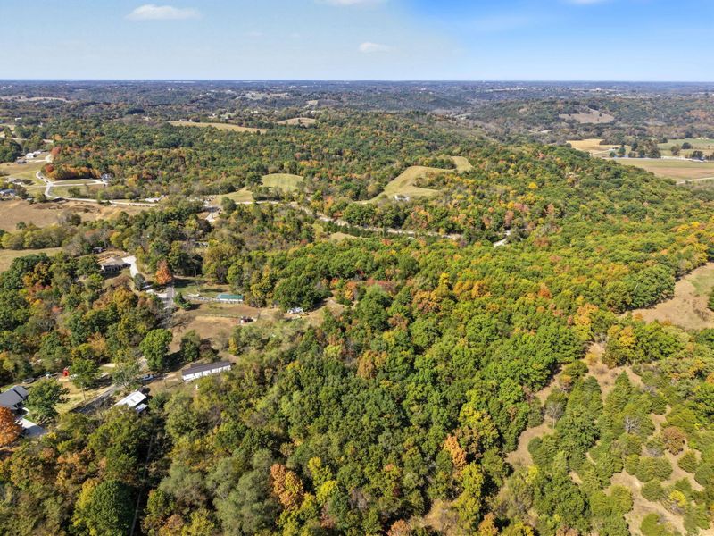 3436 Alexander Road, Demossville, KY 41033 Photo 8