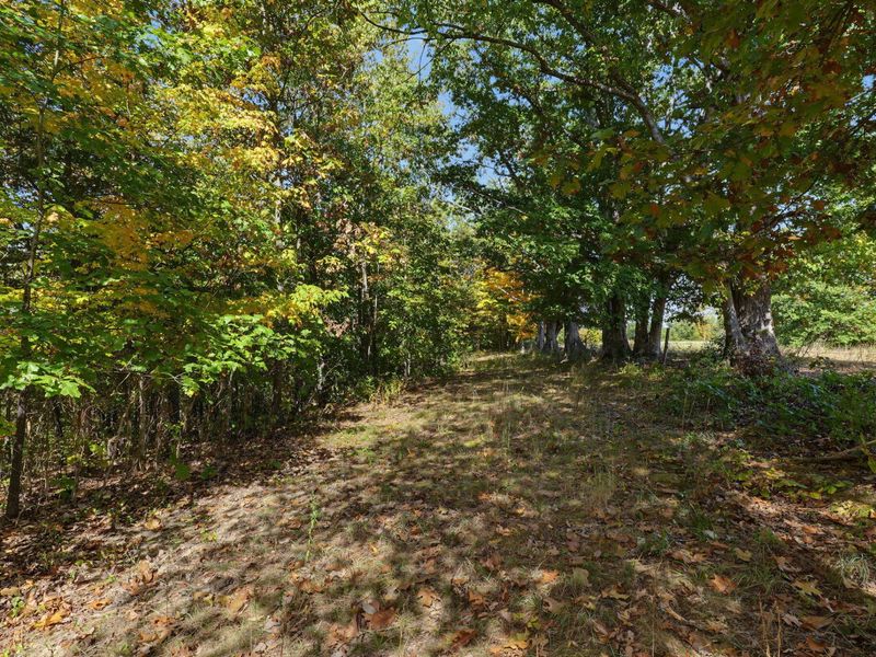 3426 Alexander Road, Demossville, KY 41033 Photo 9