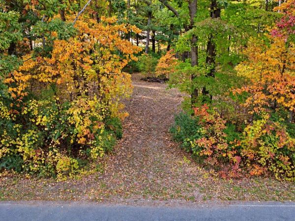 7861 Vestaburg Road, Vestaburg, MI 48891