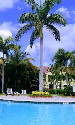 10282 S Fox Trail Road S, Unit 214, Royal Palm Beach, FL 33411 Photo