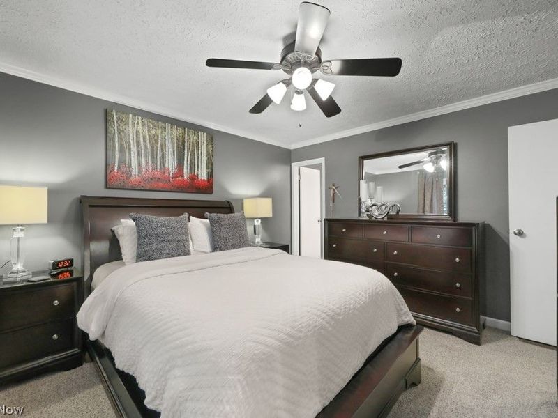 2802 Blenheim Avenue, Alliance, OH 44601 Photo 17