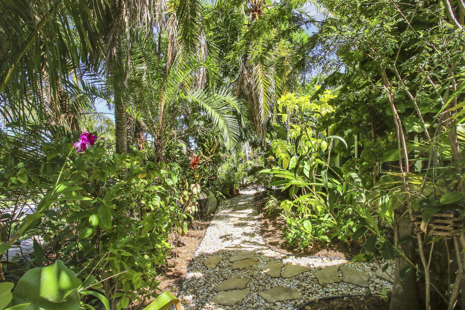 528 Driftwood Road, North Palm Beach, FL 33408 Photo