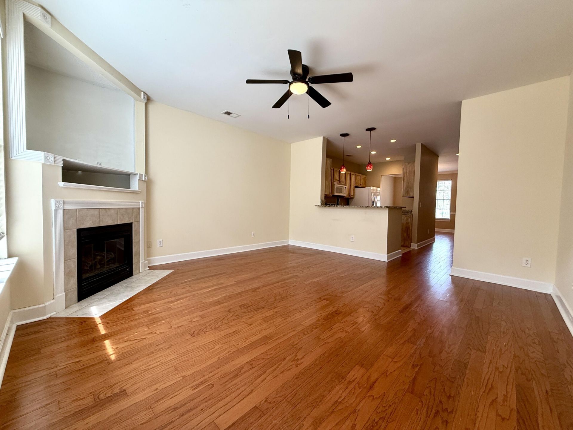 1709 Brittlebush Lane Photo 7