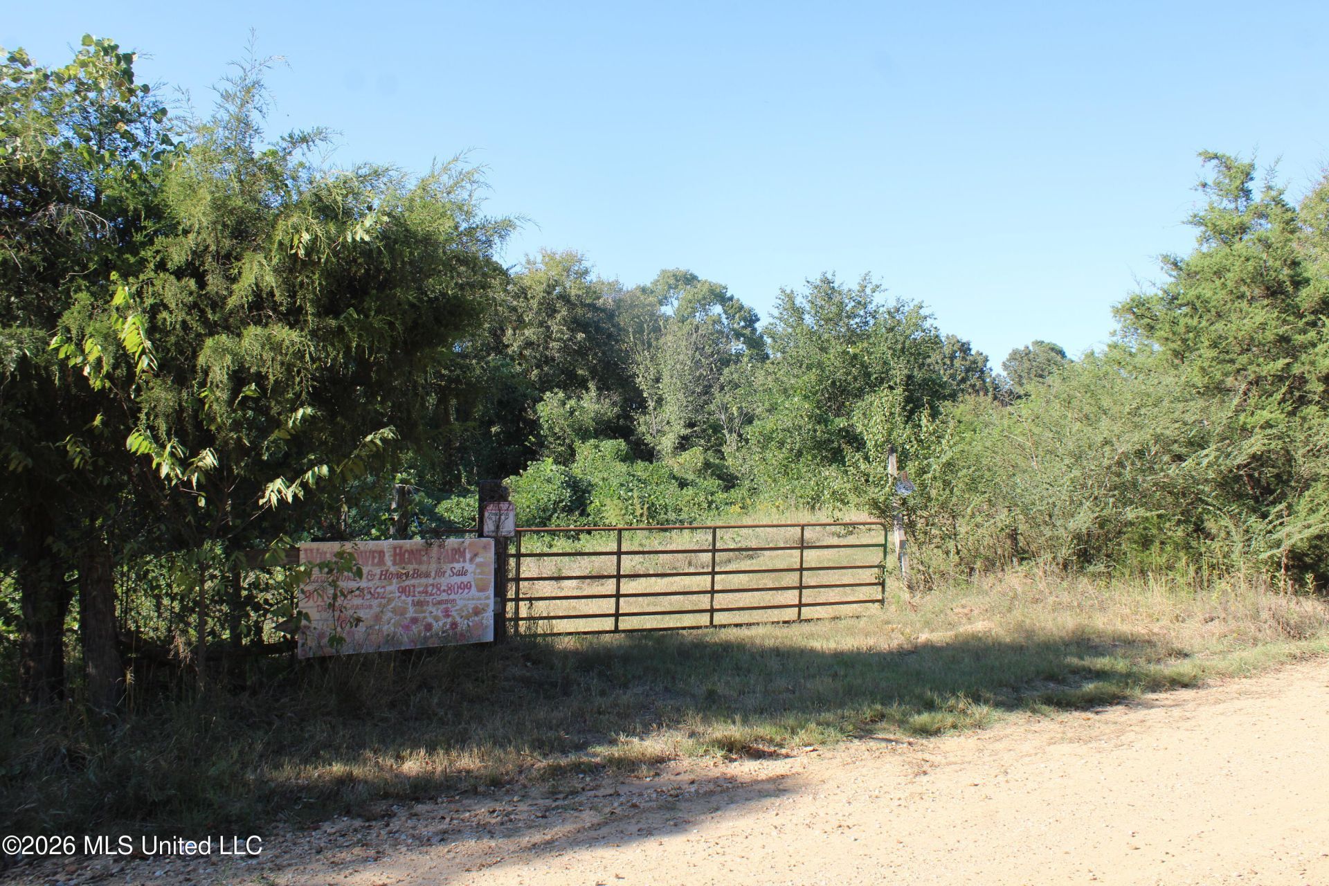 0 Old Hudsonville Road, Holly Springs, MS 38635 Main Photo
