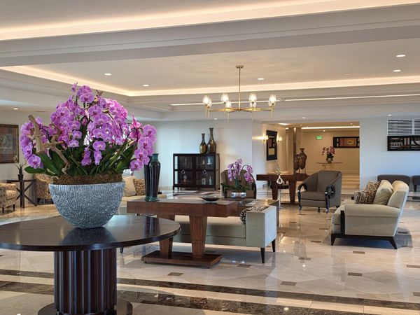 3410 Galt Ocean Drive, Unit 808N, Fort Lauderdale, FL 33308