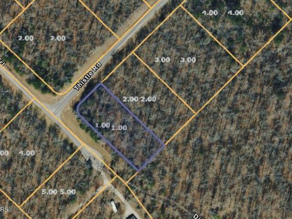 1 Thistle Rd, Monterey, TN 38574