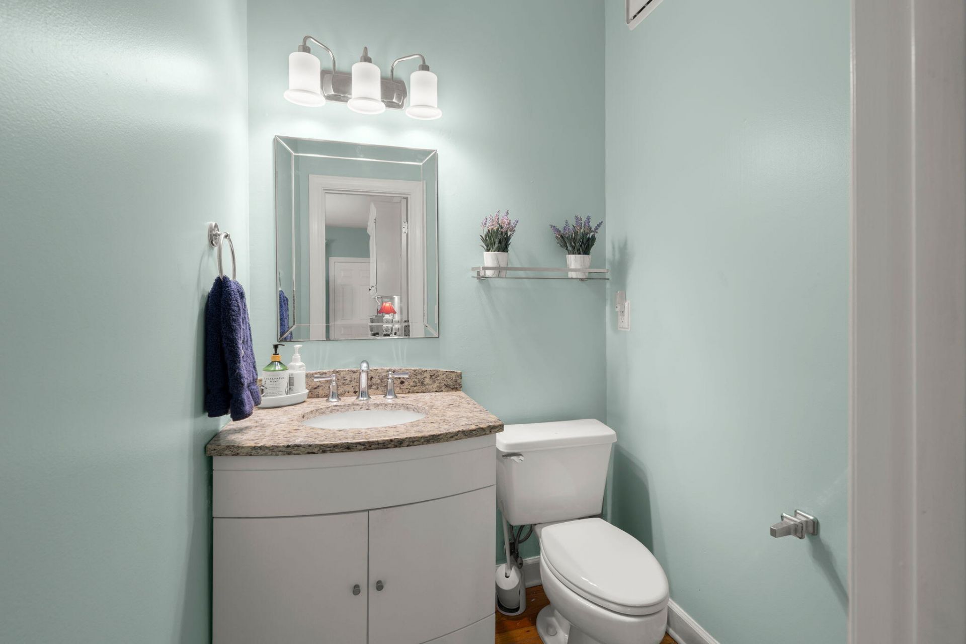 136 Levin Court Photo 19