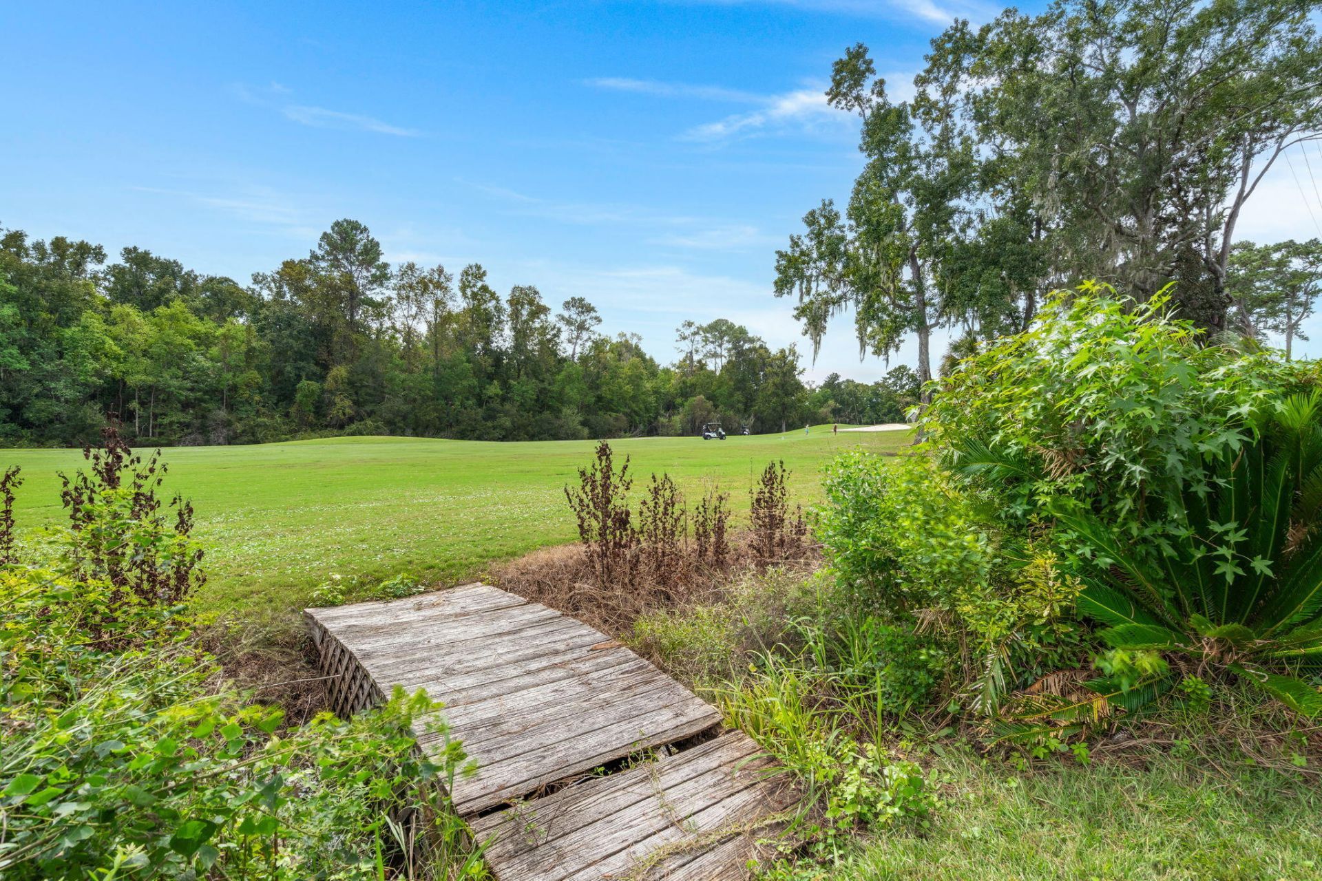 136 Levin Court Photo 43