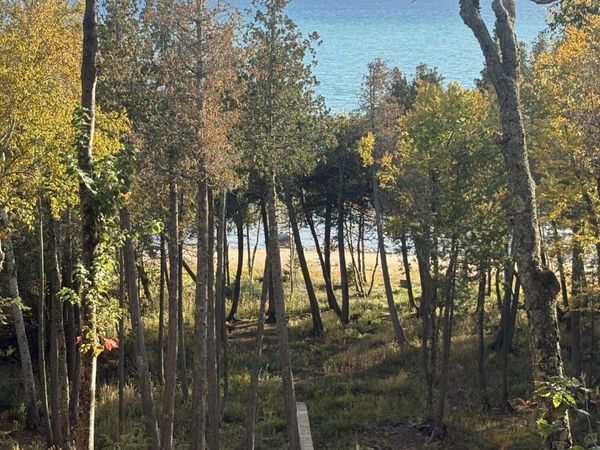 4429 Wildwood LN, Moran, MI 49760