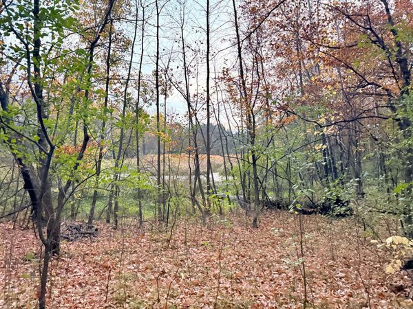 11832 County Road 51 , Saint Joseph, MN 56374