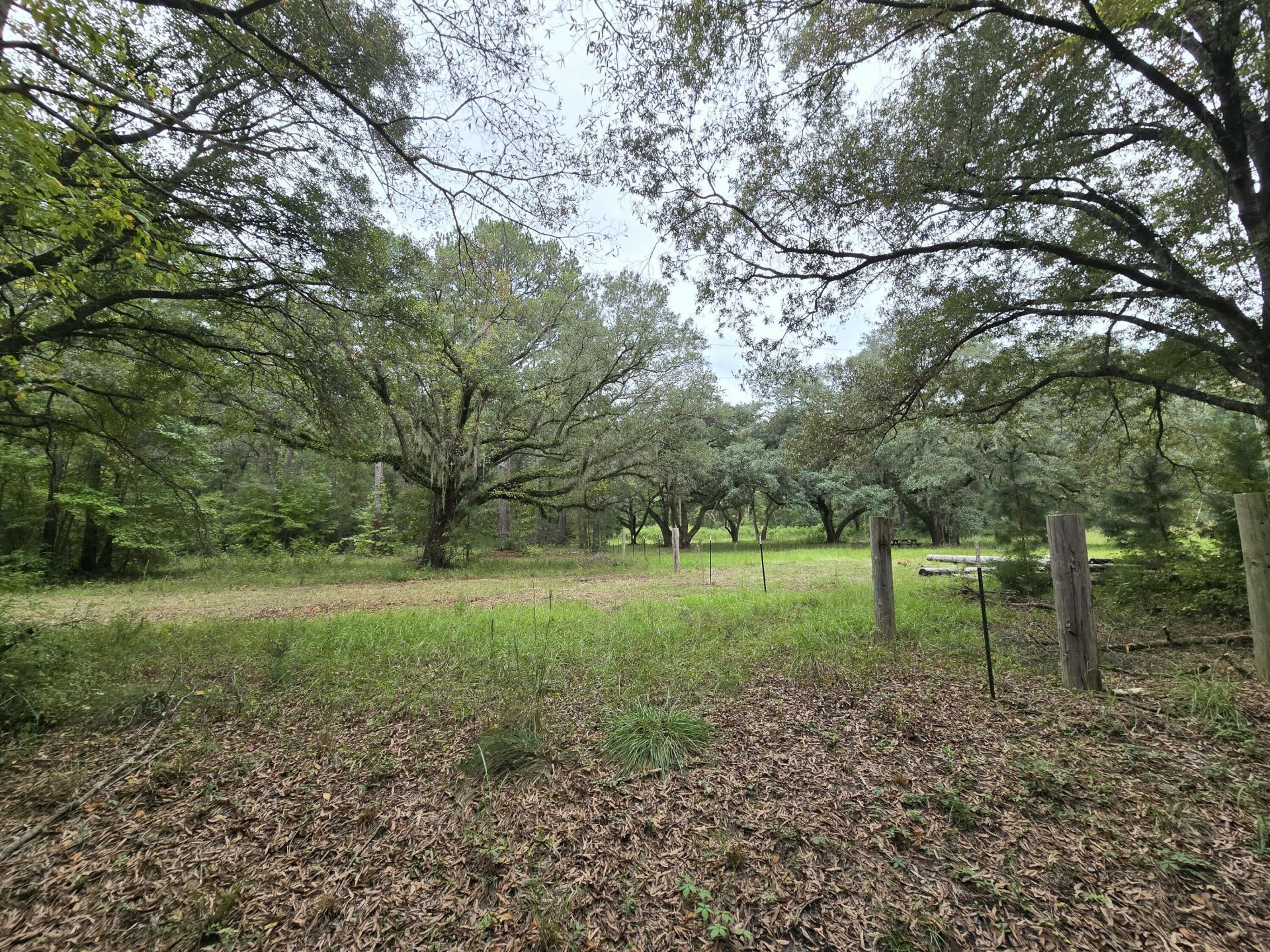 497 Rectory Hill Road Photo 2