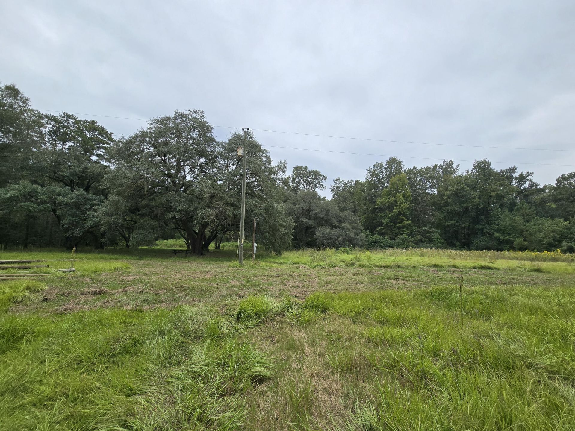 497 Rectory Hill Road Photo 3