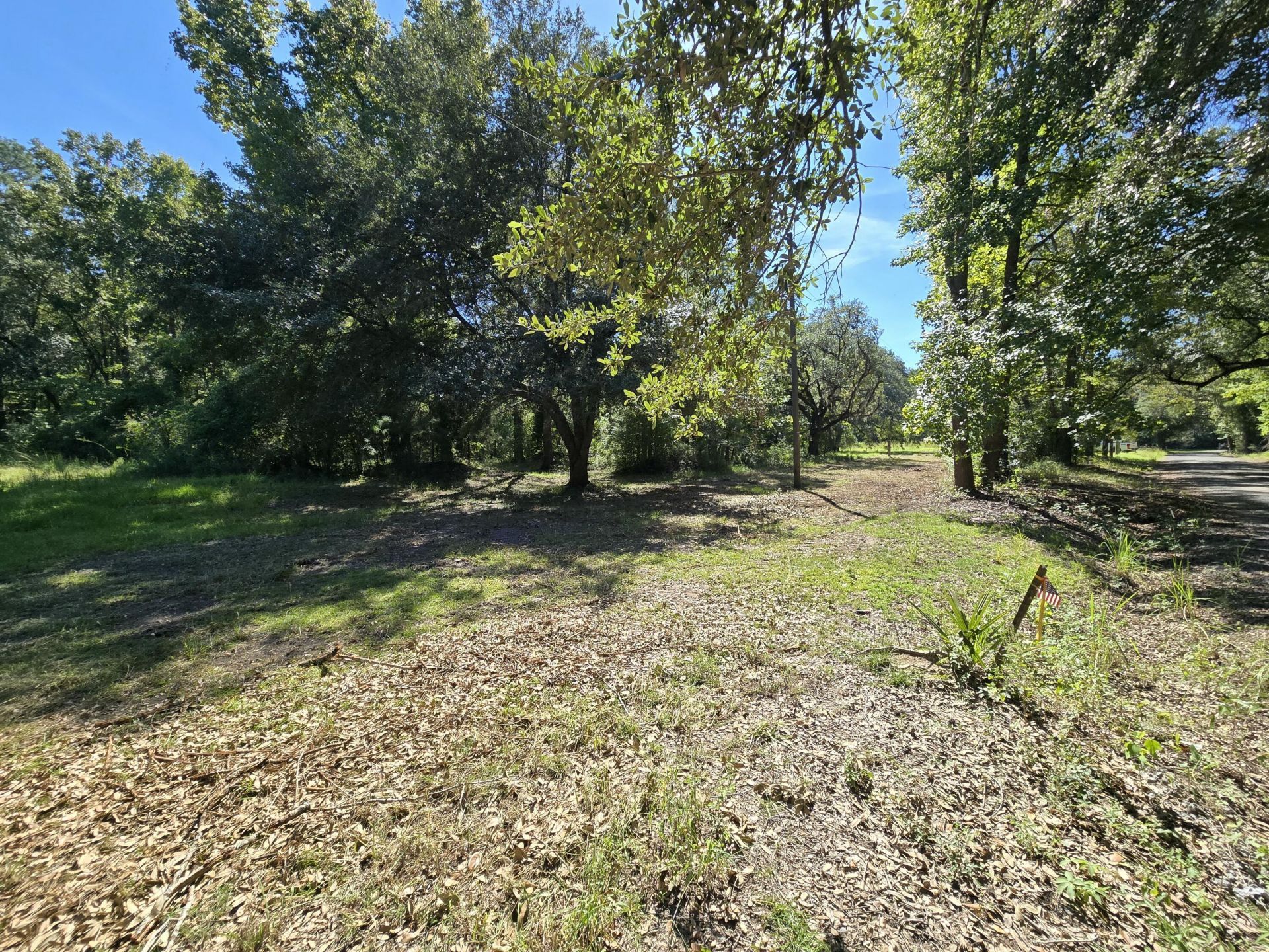 497 Rectory Hill Road Photo 4
