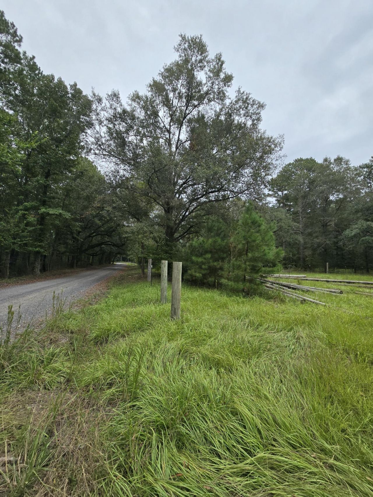497 Rectory Hill Road Photo 5