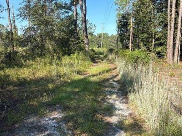 123 RD LANE , BRONSON, FL 32621