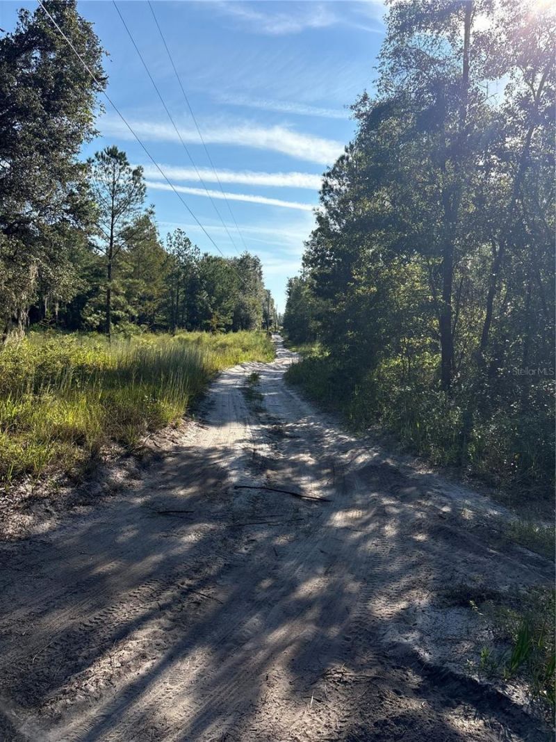 123 Rd Lane, Bronson, FL 32621 Photo