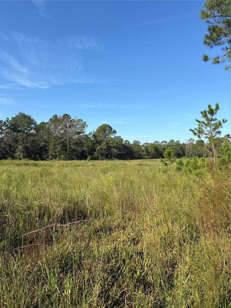 123 Rd Lane, Bronson, FL 32621 Photo