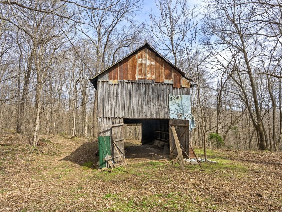 Property Image 41