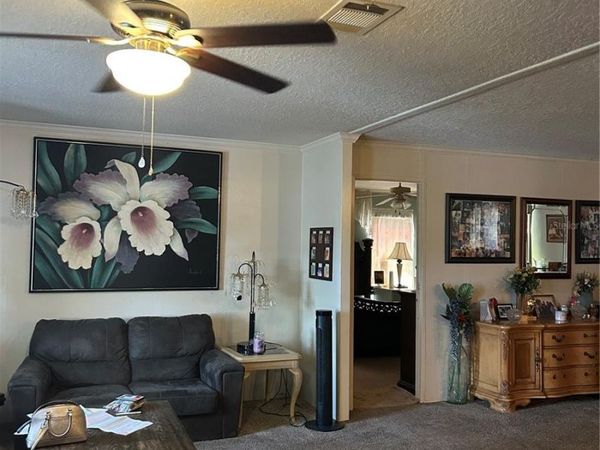 7407 SABRE STREET , ORLANDO, FL 32822