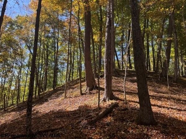 TBD Channell Road, Mill Creek, WV 26280