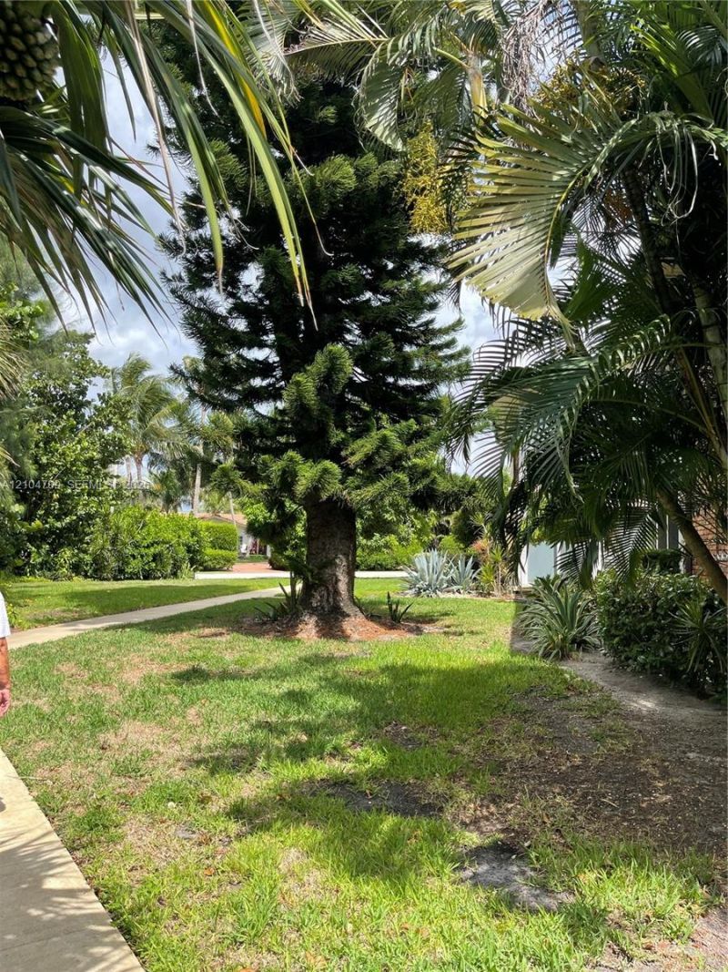 1507 S. Ocean Blvd , Unit #4, Boca Raton, FL 33432 Photo
