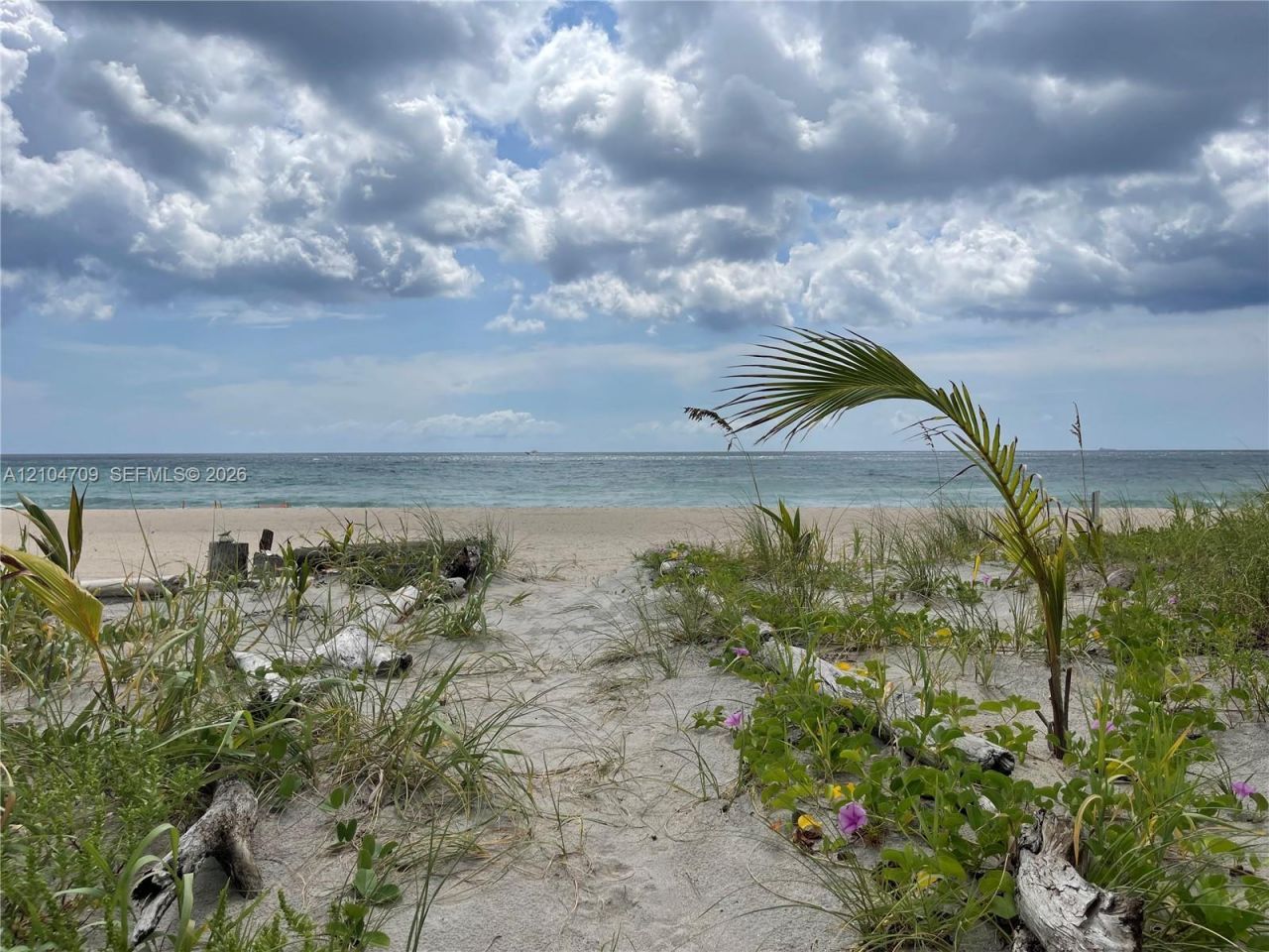 1507 S. Ocean Blvd , Unit #4, Boca Raton, FL 33432 Photo