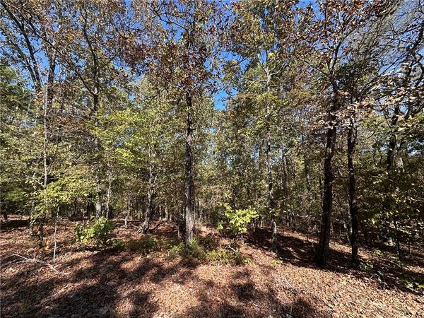 CUENCA CIR , Hot Springs Village, AR 71909