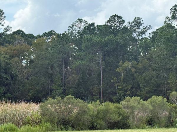 10855 W HOMOSASSA TRAIL , HOMOSASSA, FL 34448
