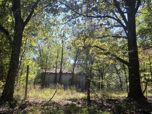0 Bill Strong Road, Edwards, MS 39066