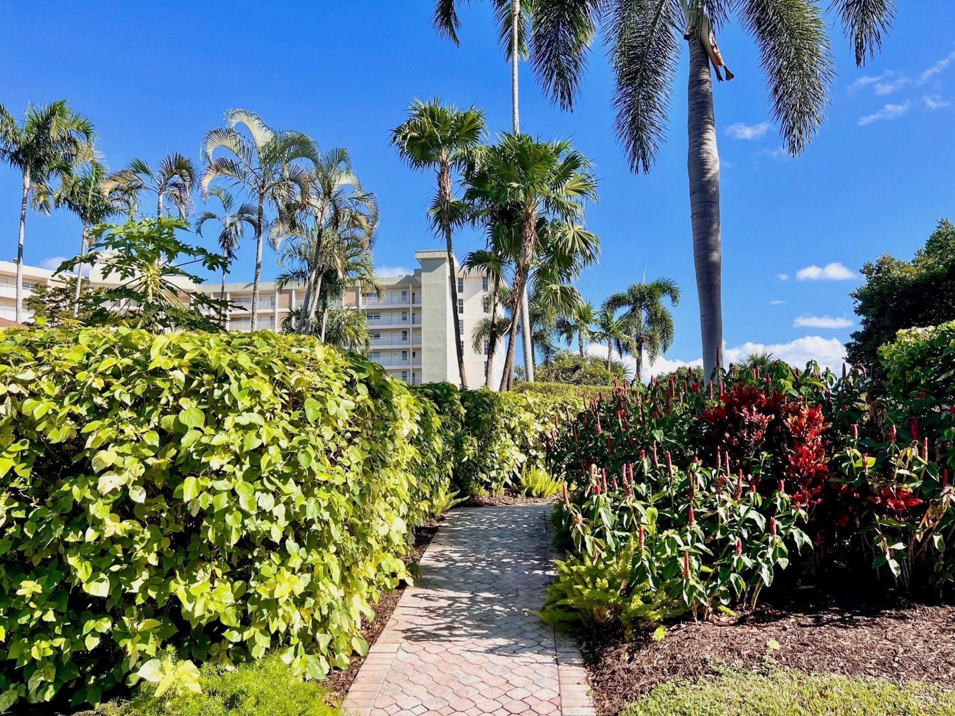 3010 N Course Drive, Unit 511, Pompano Beach, FL 33069 Photo