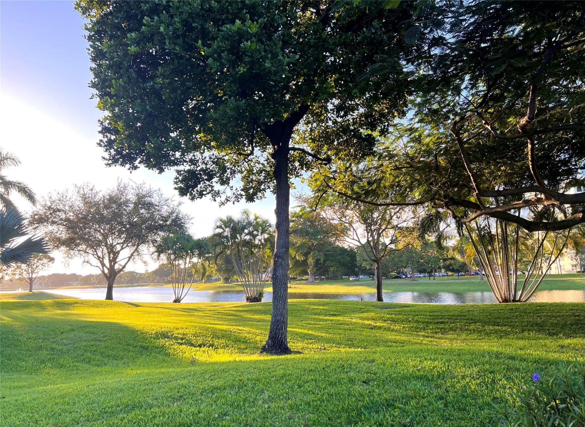 3010 N Course Drive, Unit 511, Pompano Beach, FL 33069 Photo