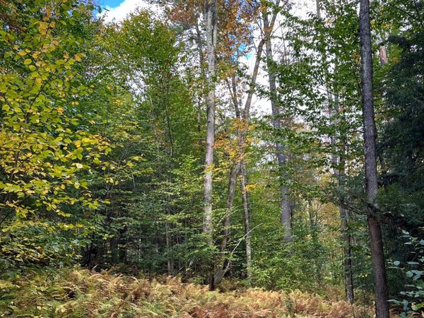 0 Moore Hill Lot 1 Road, Stephentown, NY 12169