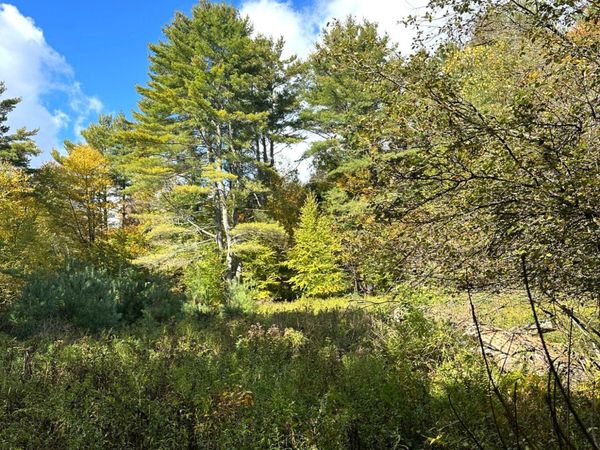 0 Moore Hill Lot 3 Road, Stephentown, NY 12169