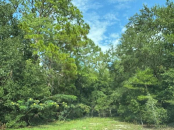 UNASSIGNED , FORT MC COY, FL 32134