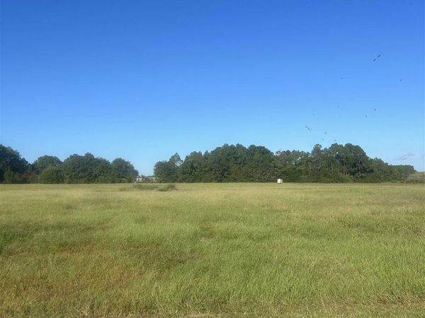 5951 Hwy 97 A, Mcdavid, FL 32568