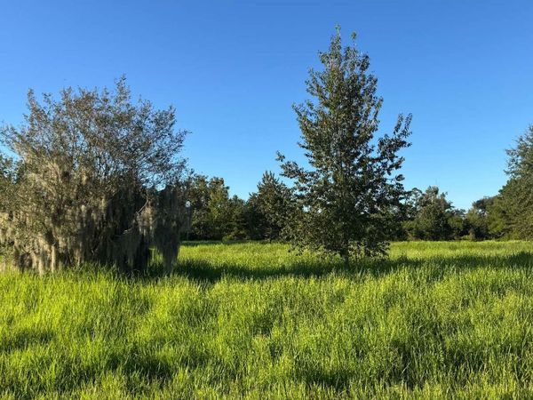 11022 NW 38TH DRIVE, Jasper, FL 32052